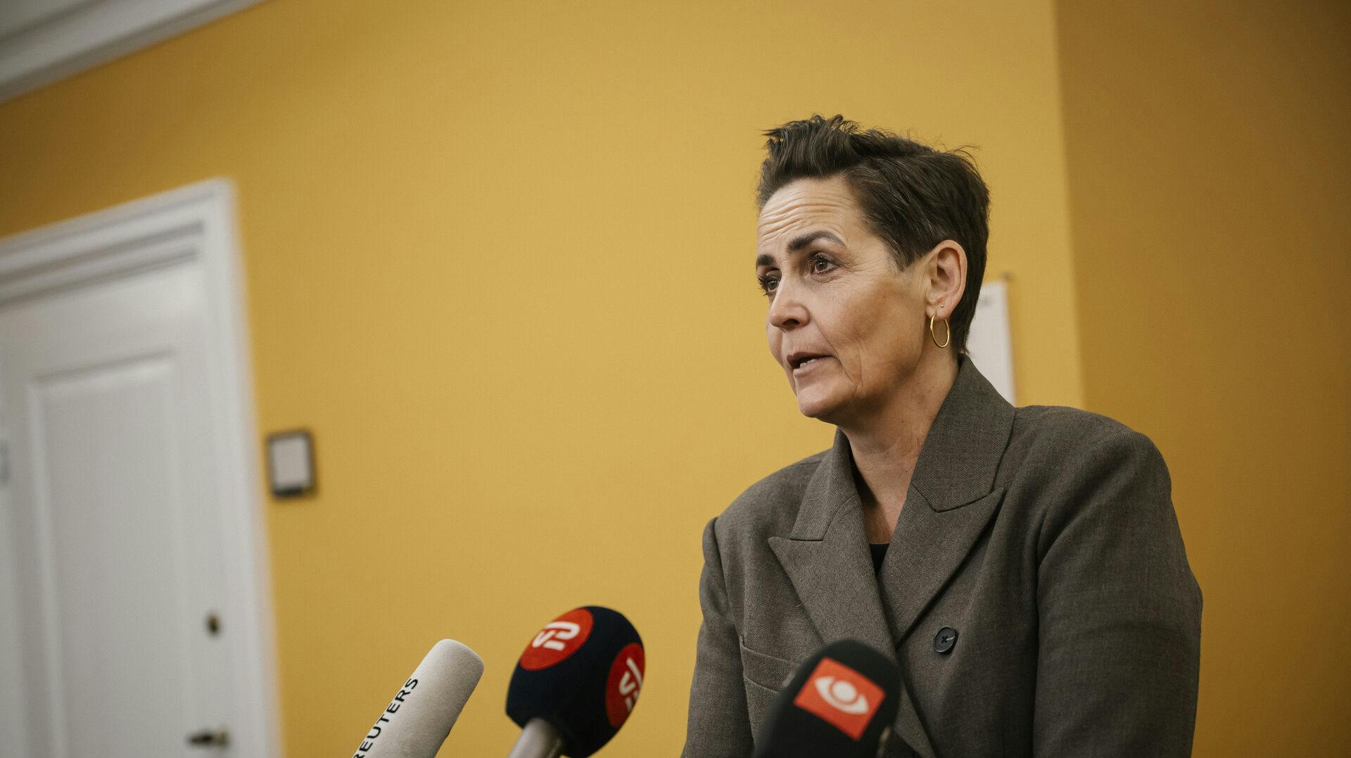 Pia Olsen Dyhr (SF) ankommer til møde i Det Udenrigspolitiske Nævn på Christiansborg i København, fredag den 23. januar 2026. Kongerigets forhold til USA er på dagsordenen. (Foto: Emil Nicolai Helms/Scanpix 2026)