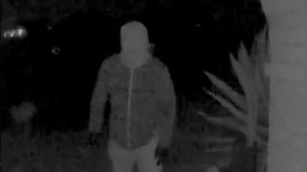 Politiet frigav tirsdag billeder fra Nancy Guthries overvågningskamera, og nu afhører de så en person.