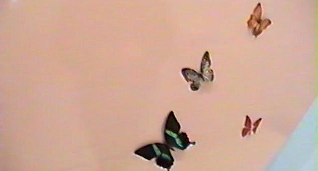 https://imgix.seoghoer.dk/48e6b58300000578-5353117-what_s_bugging_you_kylie_has_decorated_her_child_s_nursery_with_-a-55_1517835031956.jpg