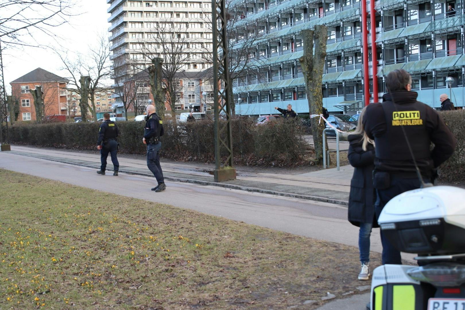 https://imgix.seoghoer.dk/amager1.jpg