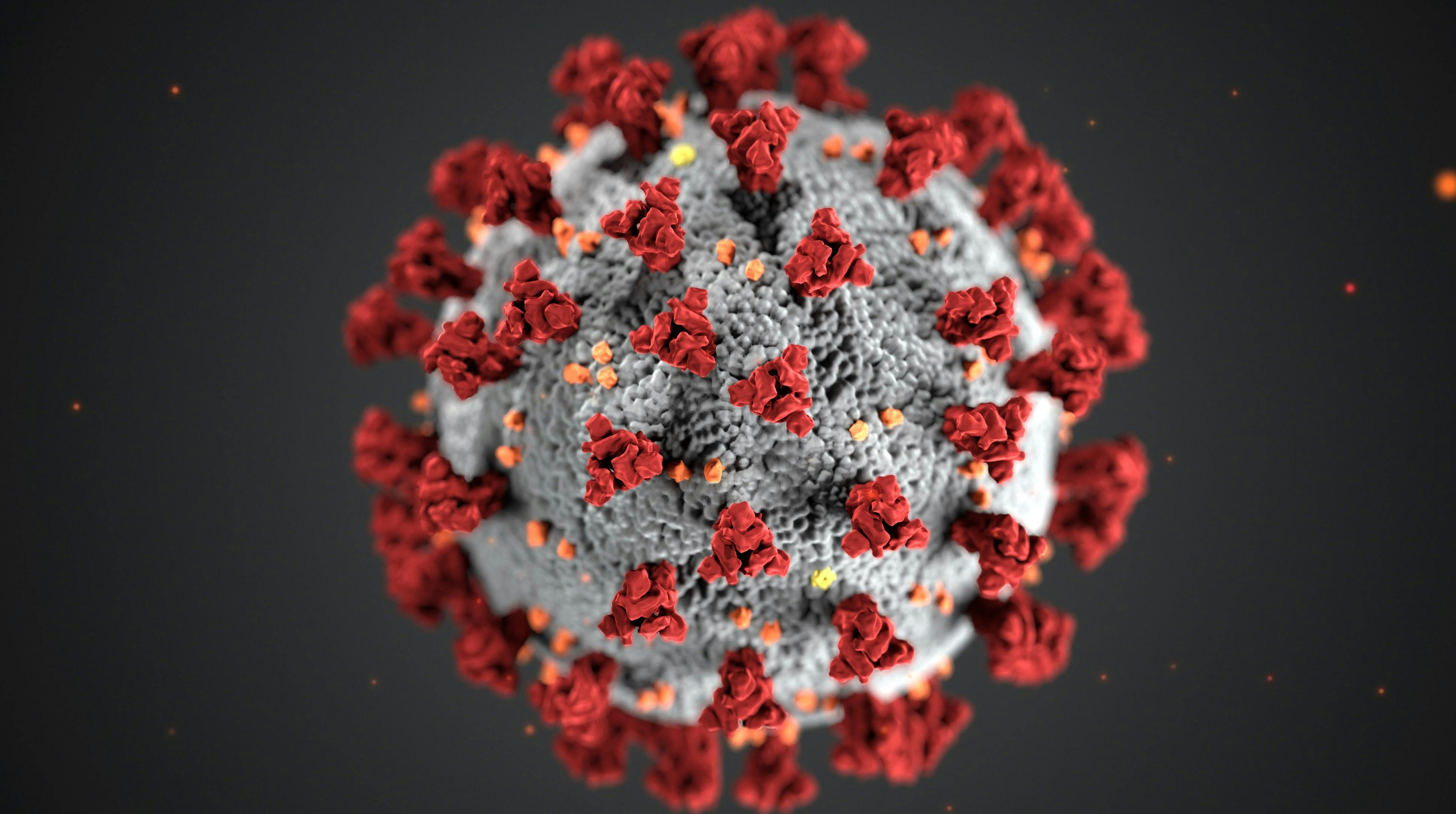 https://imgix.seoghoer.dk/coronavirus_-_illustration.jpg