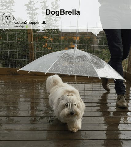 https://imgix.seoghoer.dk/dogbrella3.png