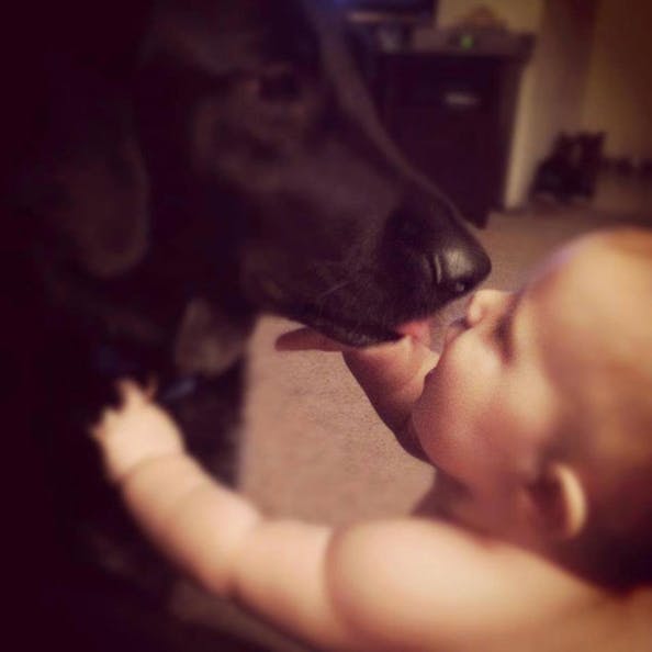 Lille Finn med hunden Killian. 