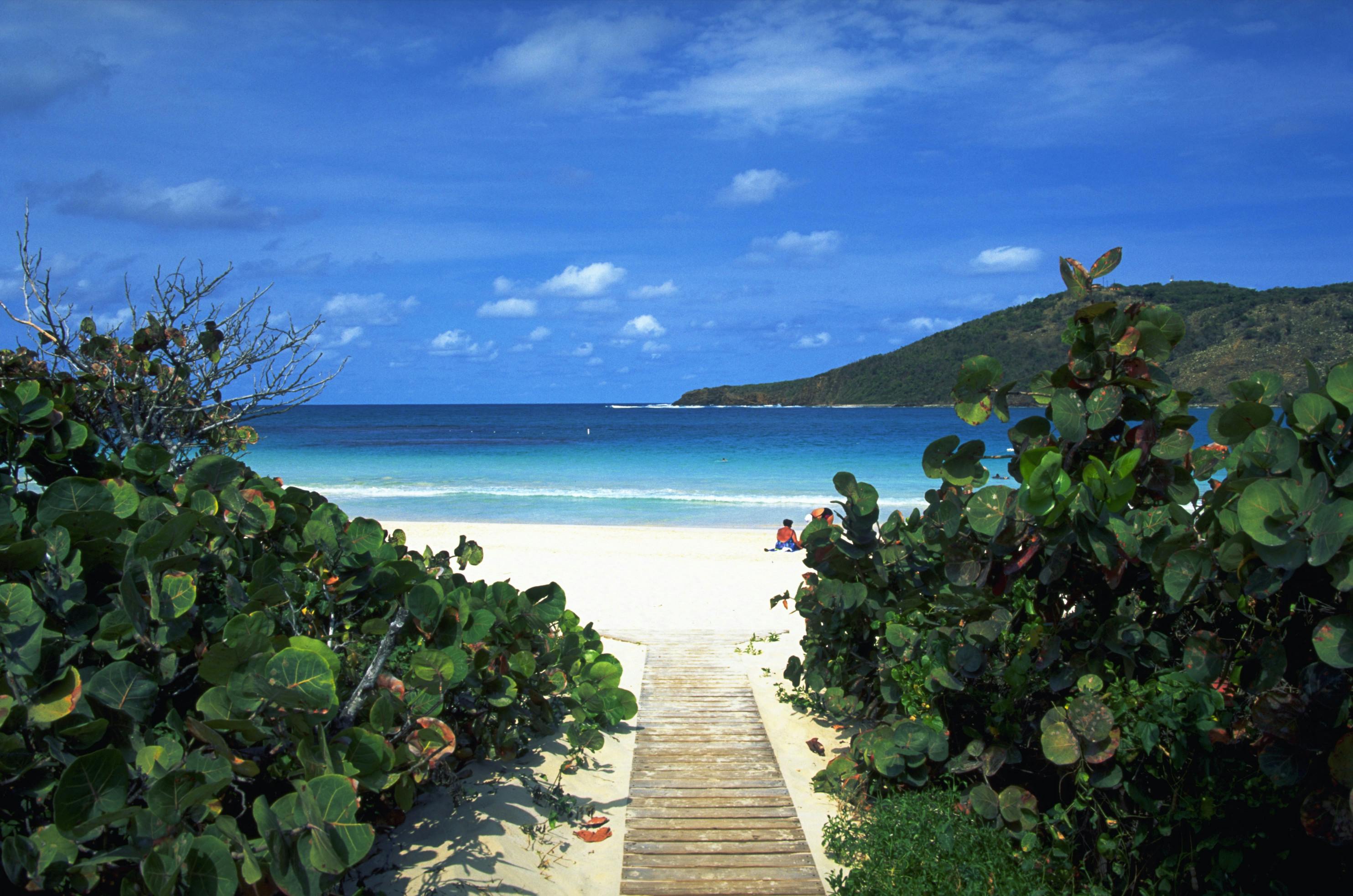 https://imgix.seoghoer.dk/flamenco_beach_culebra.jpg