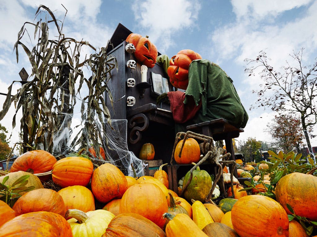 https://imgix.seoghoer.dk/foto_2_store_halloween-vaesener_spreder_gys_og_stemning_i_efteraarsferien_og_parken_pyntes_med_25.000_graeskar_djurs_sommerland.jpg