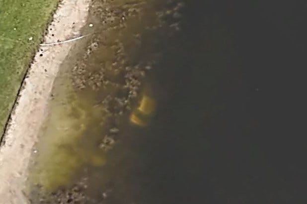 https://imgix.seoghoer.dk/google_earth.jpg