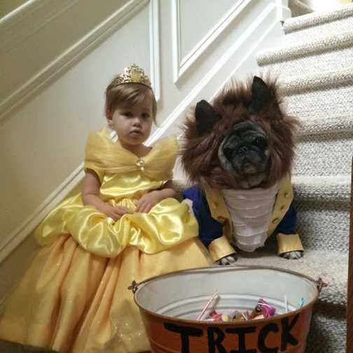 https://imgix.seoghoer.dk/halloween-udklaedning12.jpg