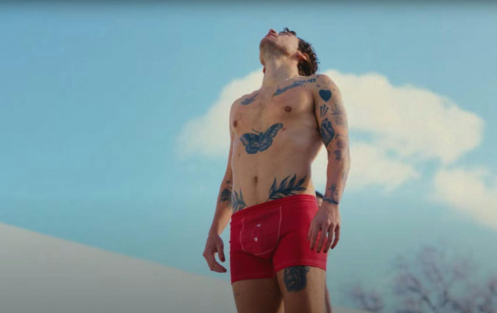 https://imgix.seoghoer.dk/harry_styles_musikvideo.jpg