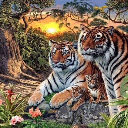 https://imgix.seoghoer.dk/hvor_mange_tigre_kan_du_se.jpg
