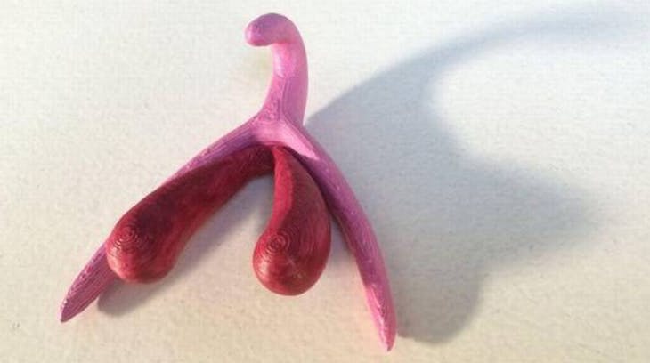 https://imgix.seoghoer.dk/klitoris.png