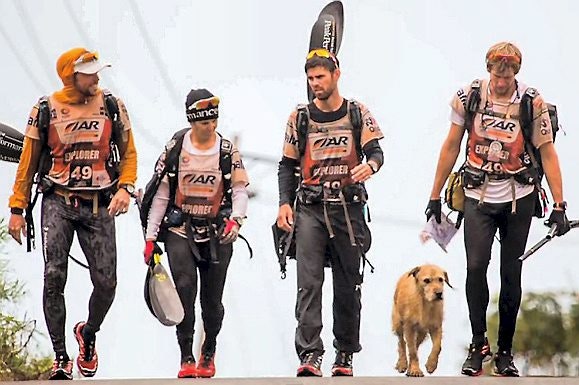 skat kighul mor Gribende billeder: Hjemløs hund søgte venskab – fulgte atleter mere end 690  kilometer!