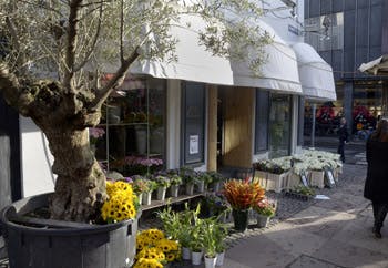 https://imgix.seoghoer.dk/legacy/media/se-og-hoer/2010/kendte-dk/november/blomsterbikstekst-jpg.jpg