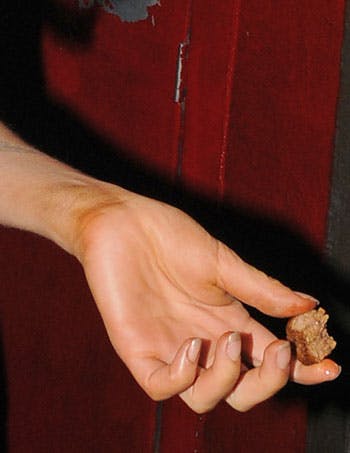 https://imgix.seoghoer.dk/legacy/media/se-og-hoer/2010/musik/juni/amyleetek2-jpg.jpg