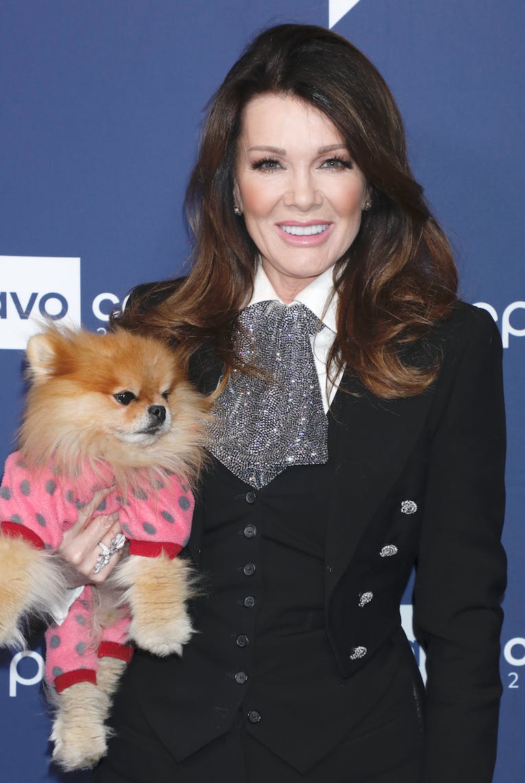 https://imgix.seoghoer.dk/lisa-vanderpump.png