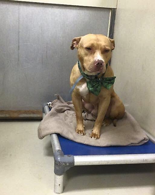 March klar til et nyt eventyr. 