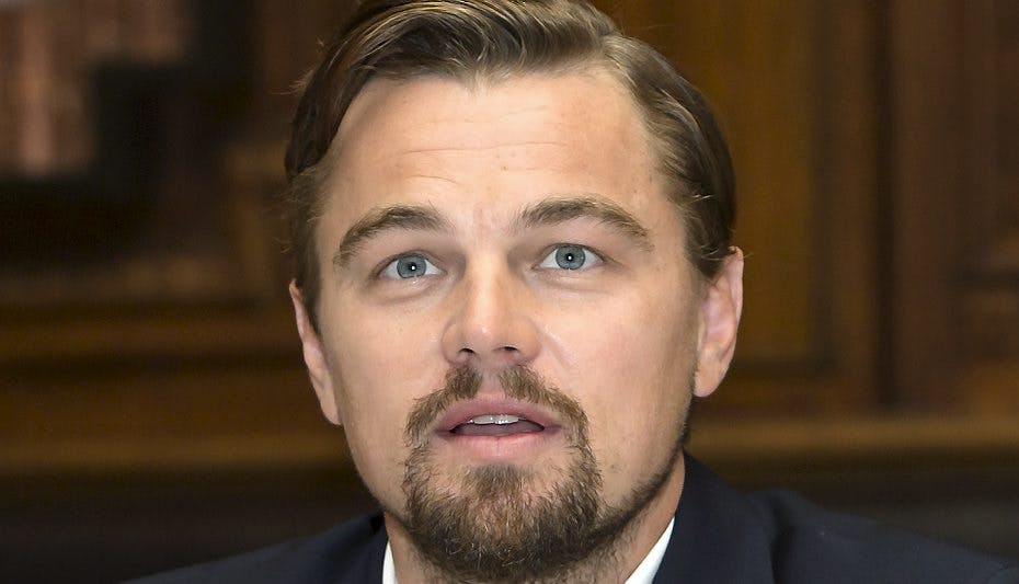 Leonardo DiCaprio har fået nyt job