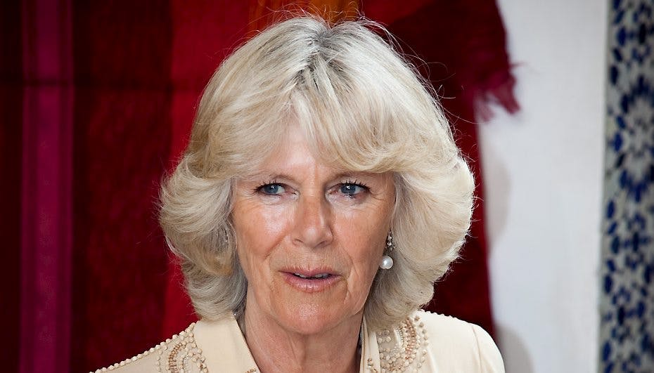 Camilla Parker Bowles' bror døde, da han ville ryge sig en smøg.