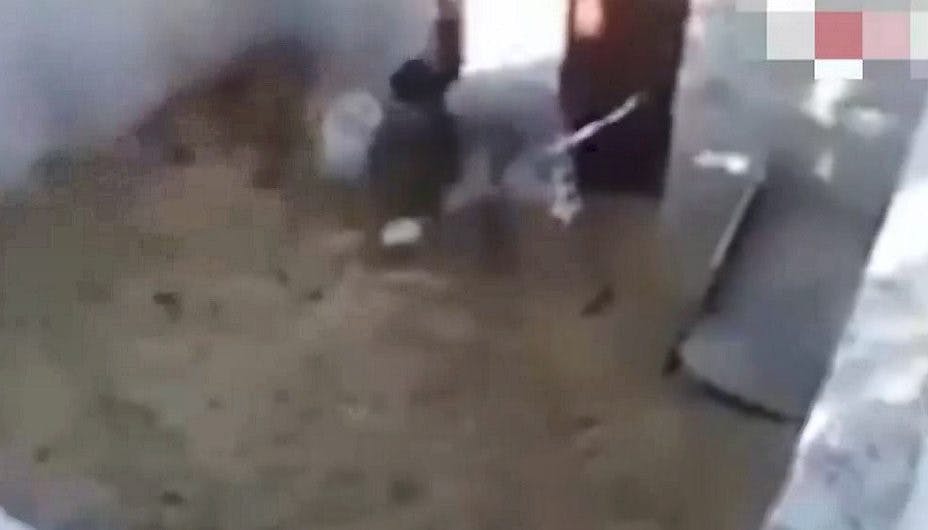 Det her er en ret ondskabsfuld måde at behandle sine venner på