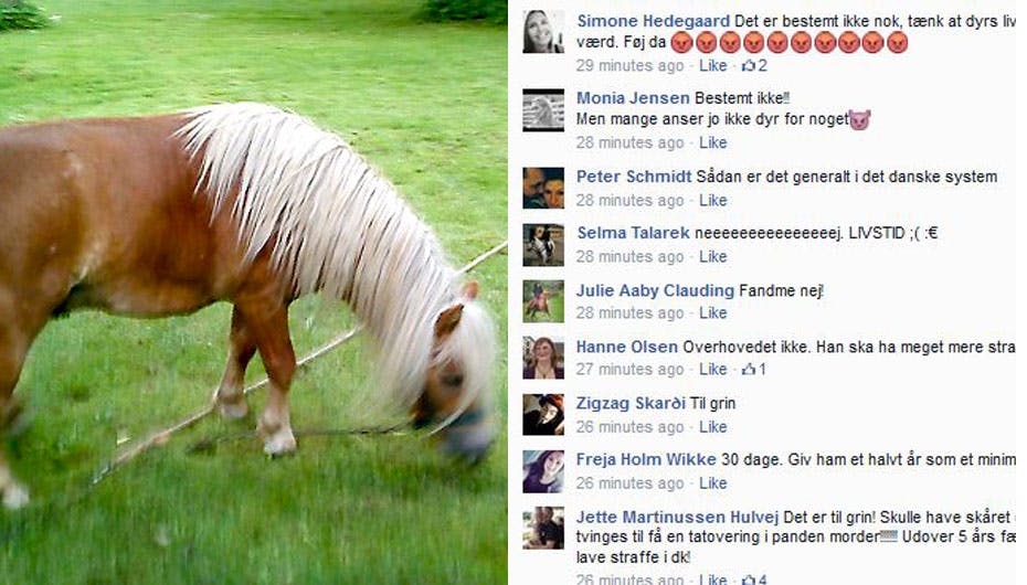 Lille Tarzan led en frygtelig skæbne på stranden i Tisvildeleje, og 30 dages fængsel er slet ikke nok, mener SE og HØRs læsere