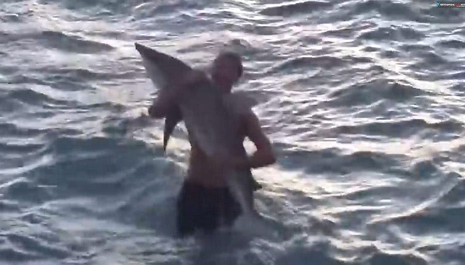 Denne mand går nu under navnet 'hajhviskeren' - efter at han fangede en haj med de bare næver