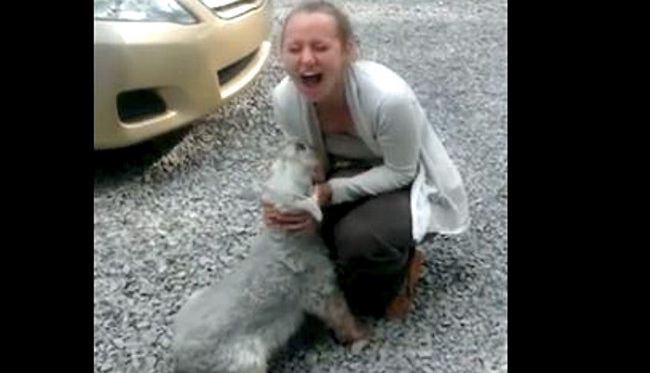Rebecca Ehalts hund blev mere end glad, da den så sin ejer igen