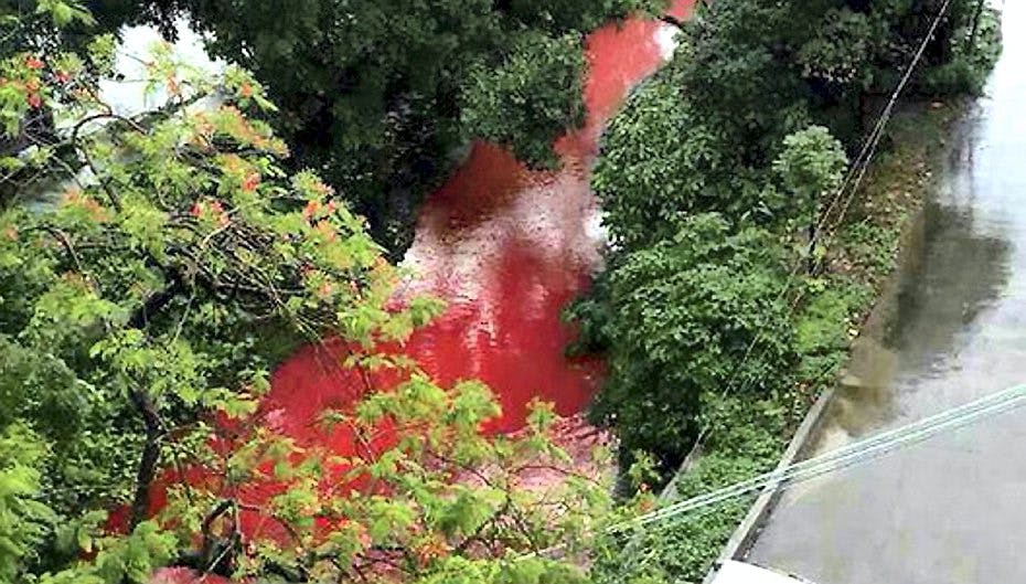 For s...., hvad gør vi nu?