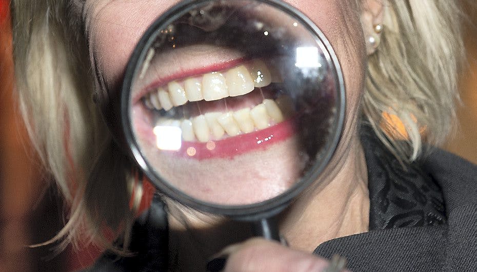 Kan du gætte, hvem disse bisser tilhører?