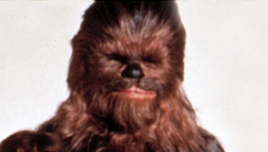 Chewbacca er klar igen til de nye Star Wars film