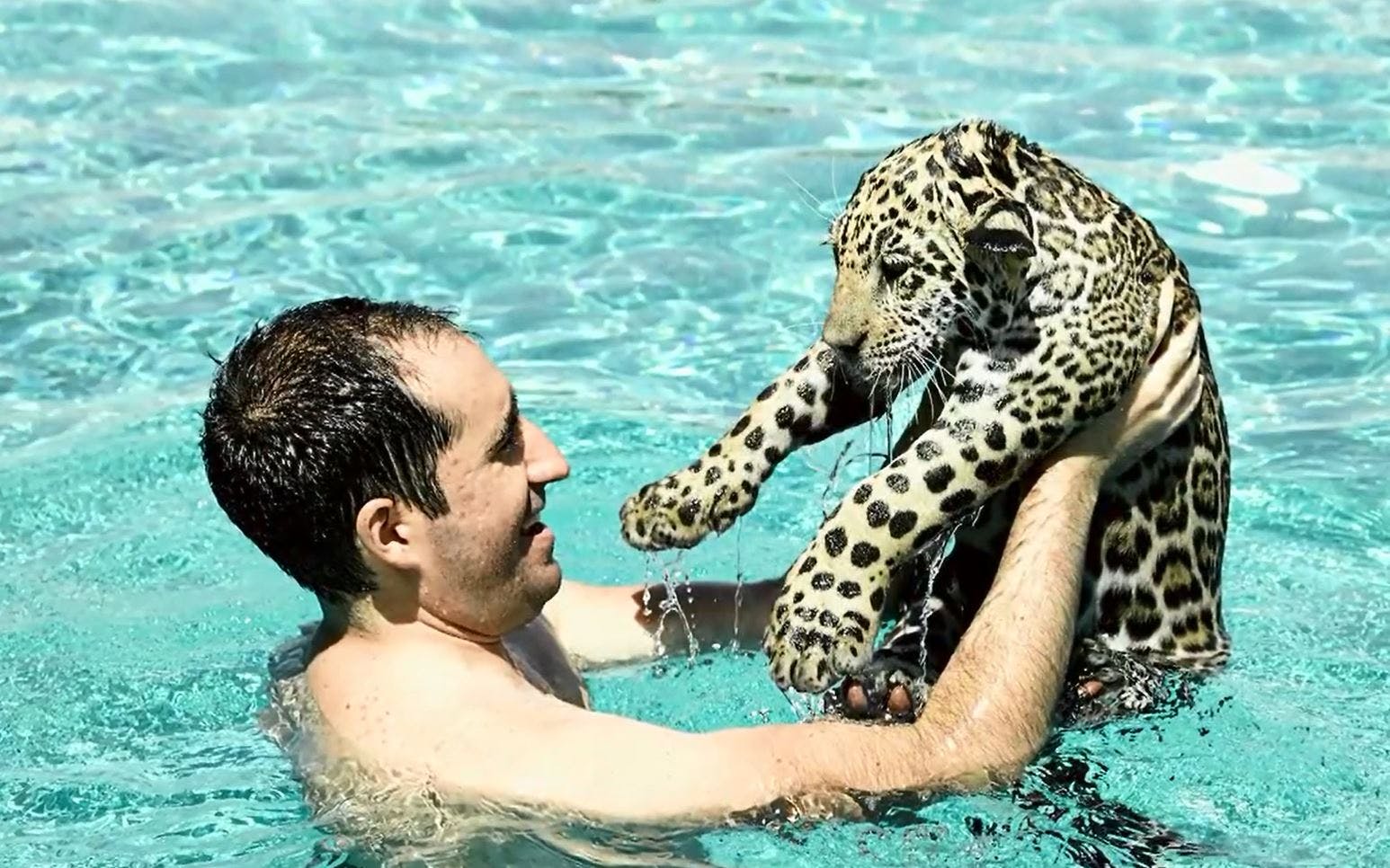 Se videoen i bunden af artiklen