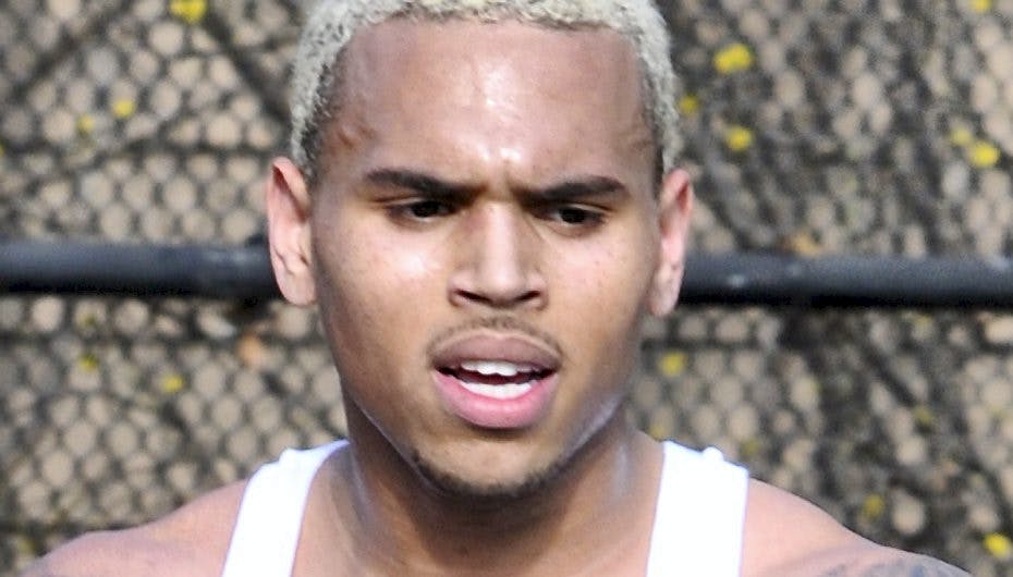 Chris Brown har fået en dom for vold mod ekskæresten Rihanna