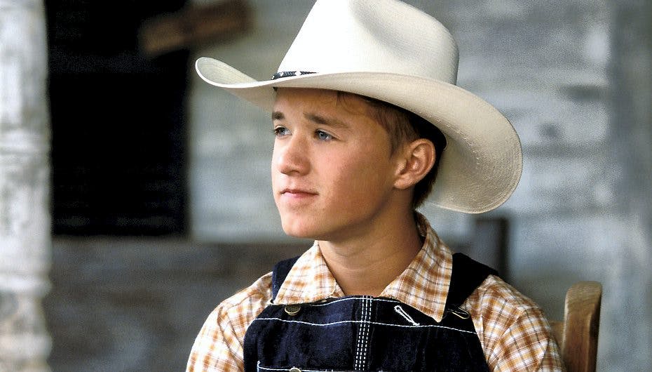 Det er sådan her, vi bedst kender Haley Joel Osment, men det er efterhånden 14 år siden