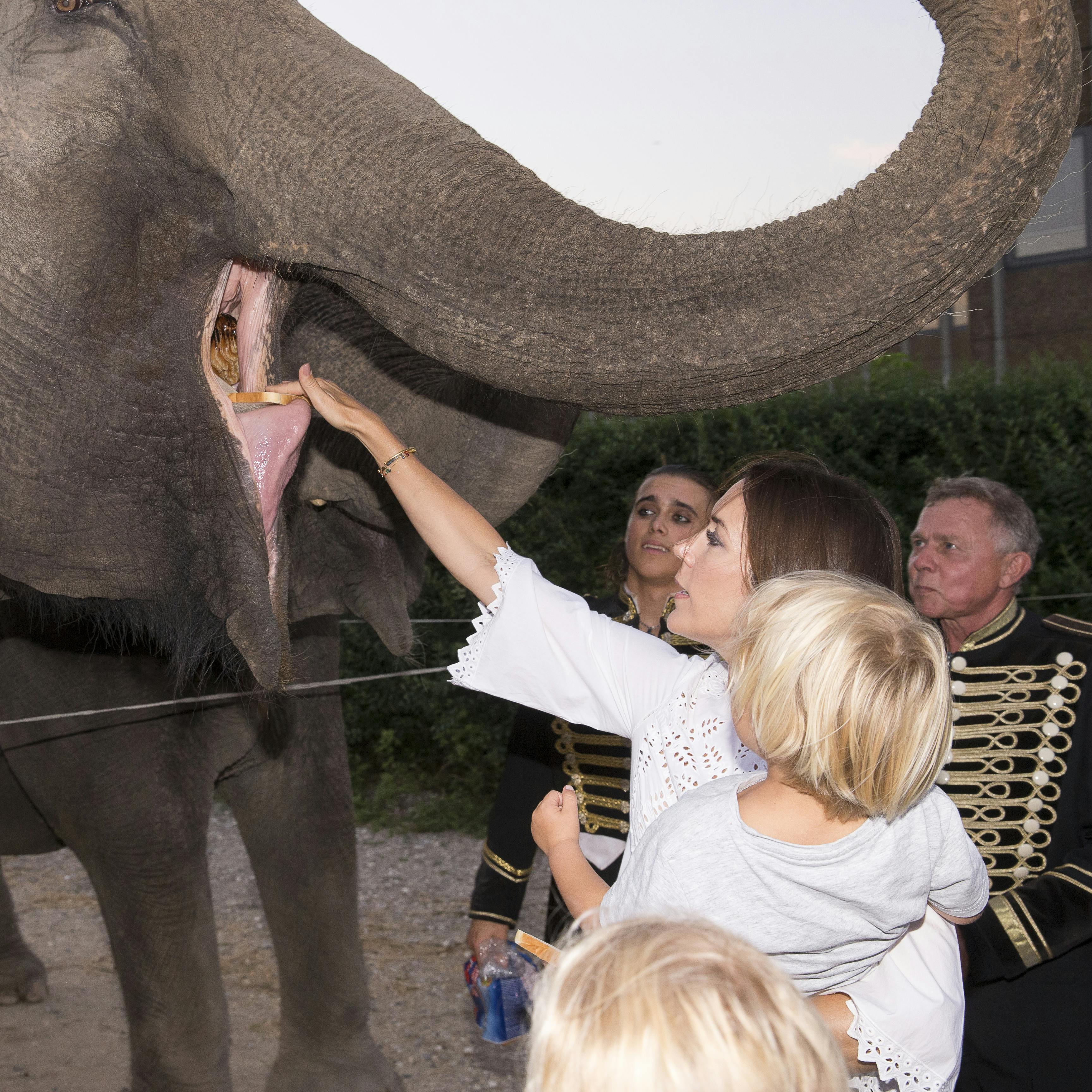 https://imgix.seoghoer.dk/media/article/20160908-cirkus-tsl-0052.jpg