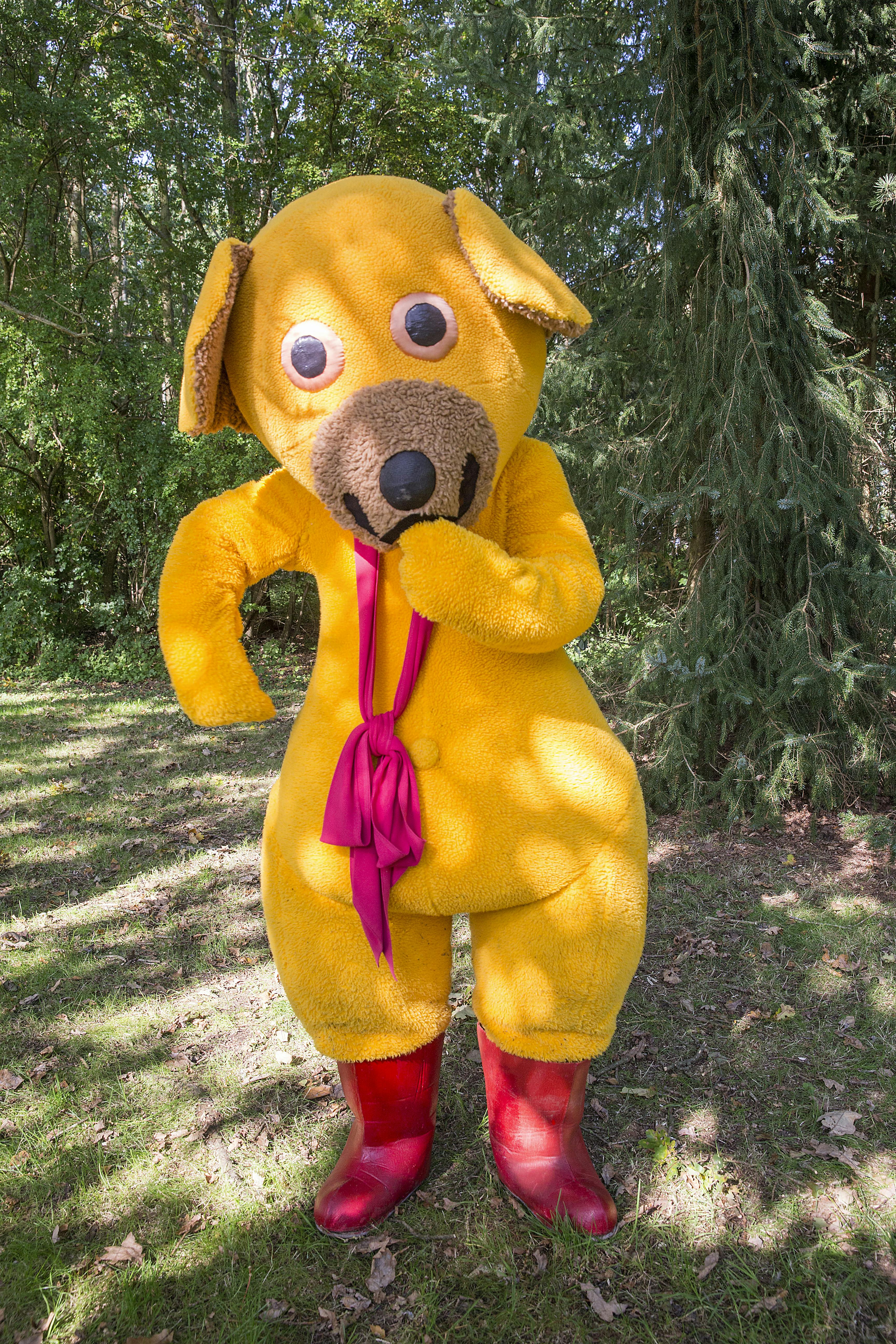 https://imgix.seoghoer.dk/media/article/20170927_wen_-_bamse_82.jpg