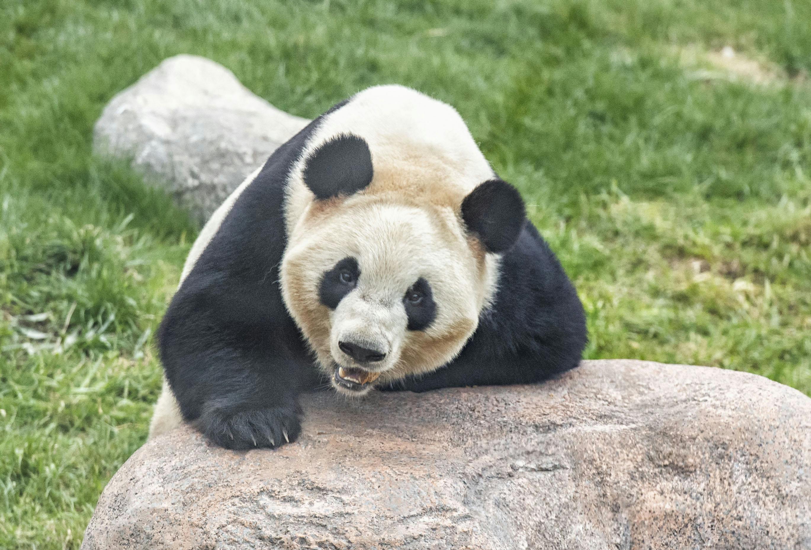 https://imgix.seoghoer.dk/media/article/20190410_hjp9668.jpg