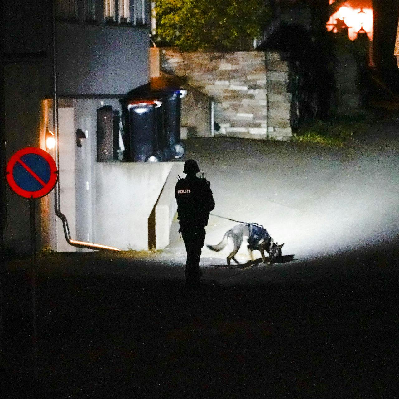 https://imgix.seoghoer.dk/media/article/20211013-212735-l-1920x1280we.jpg