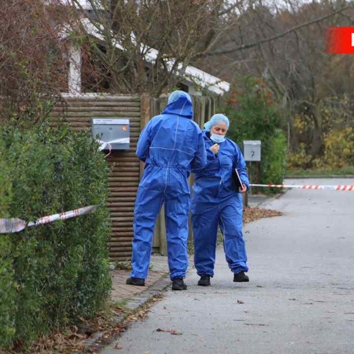 https://imgix.seoghoer.dk/media/article/611533-311.jpg
