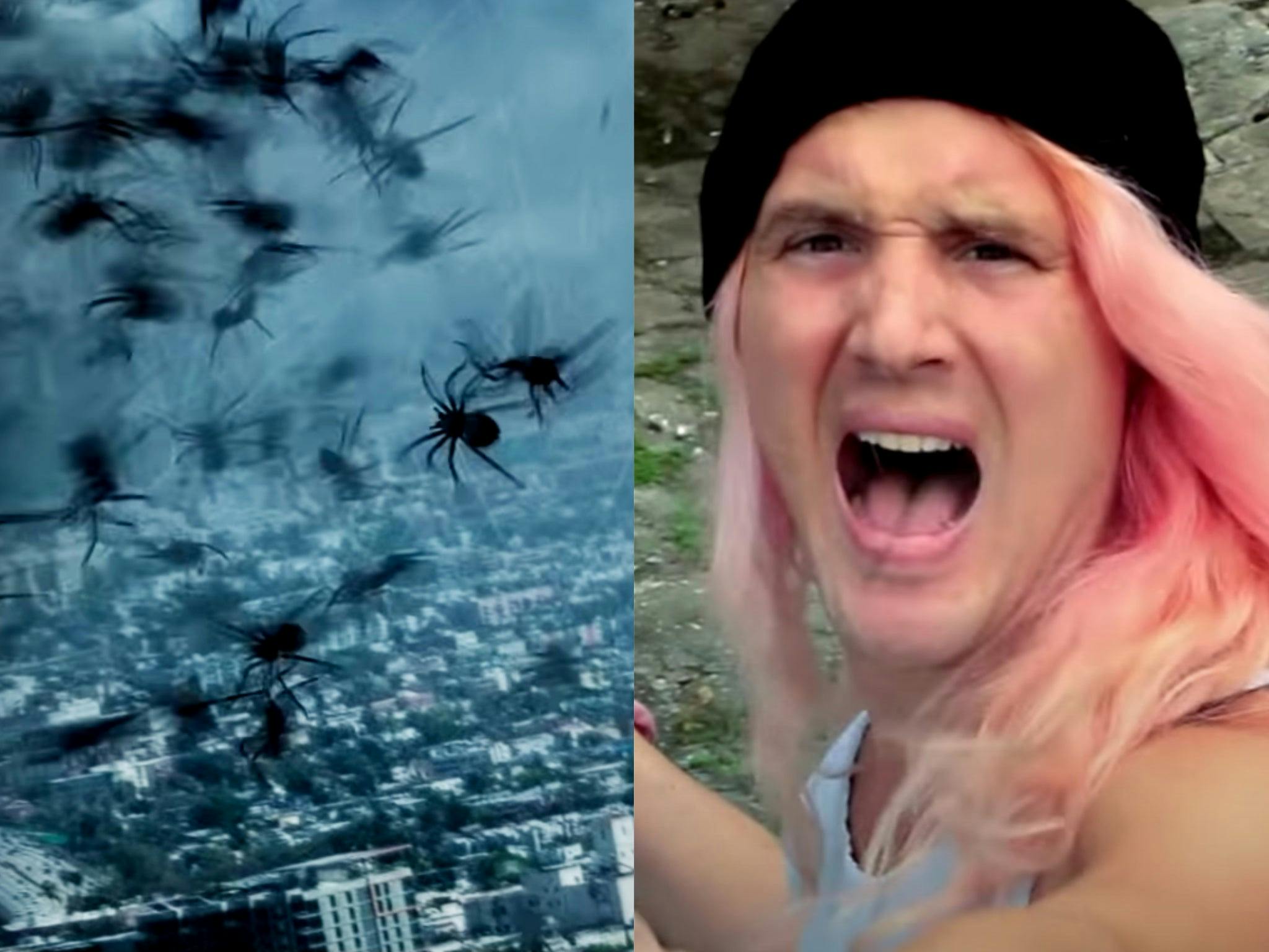 https://imgix.seoghoer.dk/media/article/arachnado.jpg