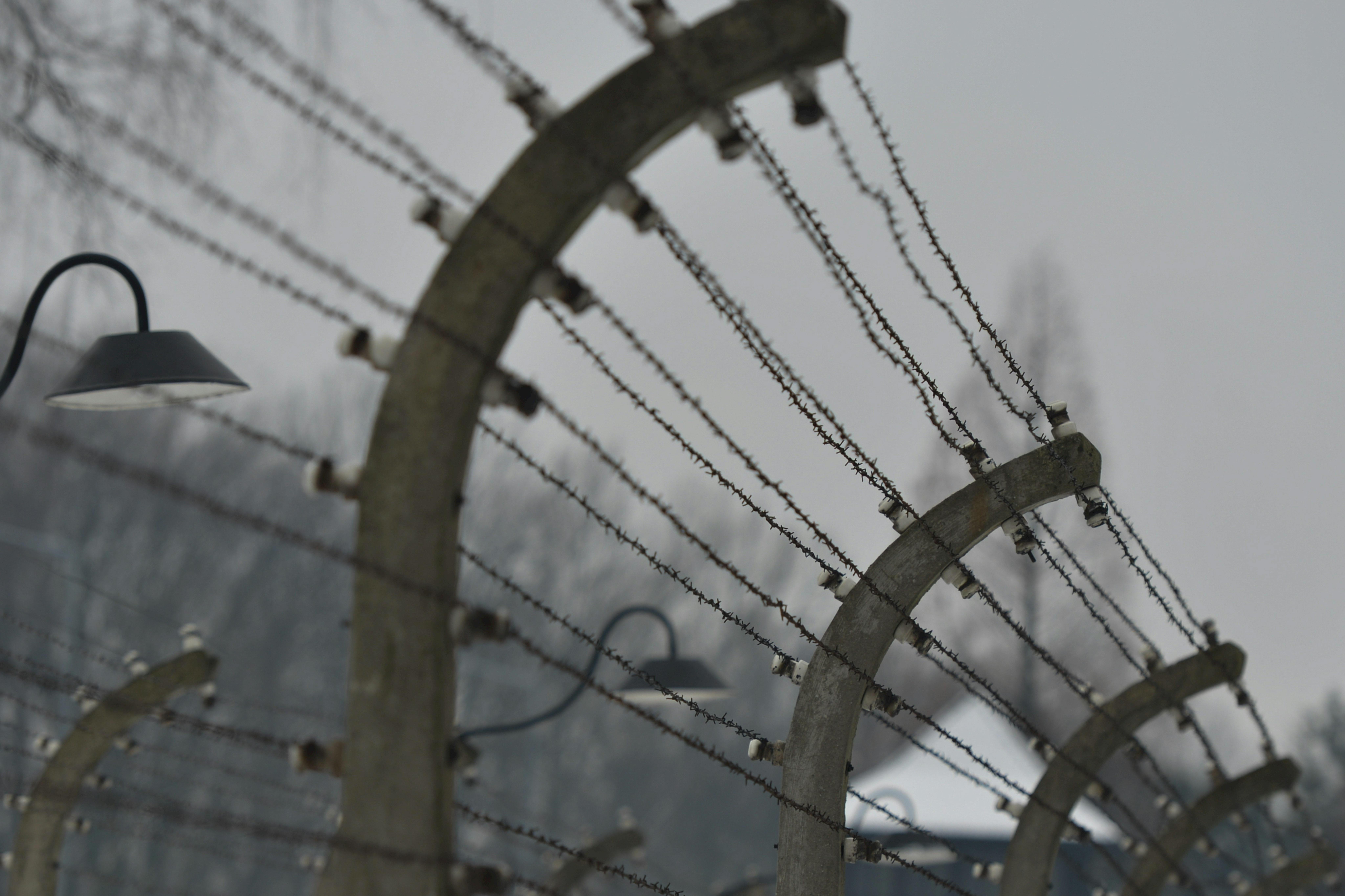 https://imgix.seoghoer.dk/media/article/auschwitz.jpg