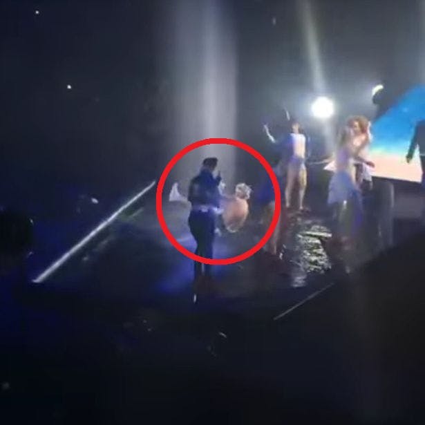 https://imgix.seoghoer.dk/media/article/bieber_falder.jpg