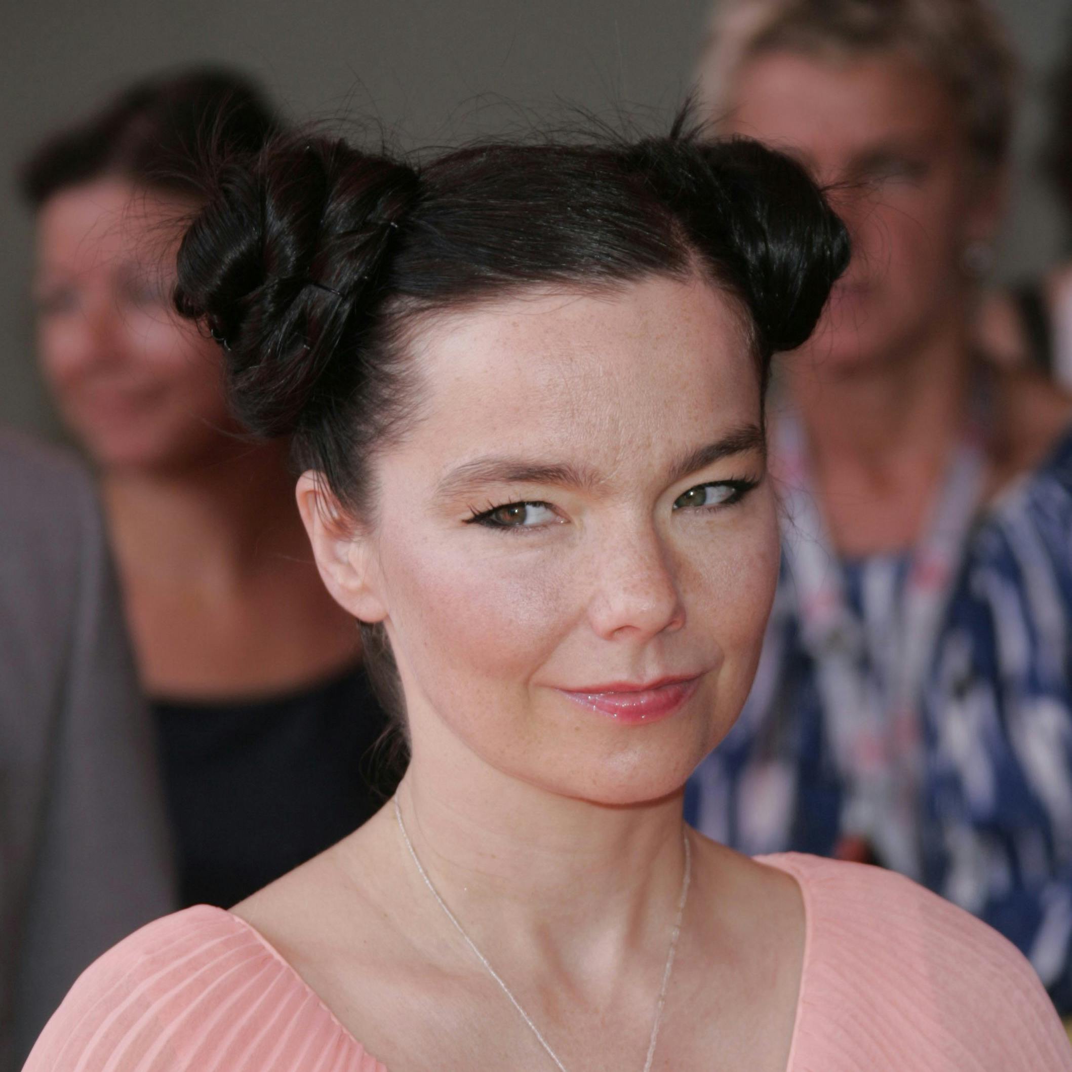 https://imgix.seoghoer.dk/media/article/bjork-161017.jpg