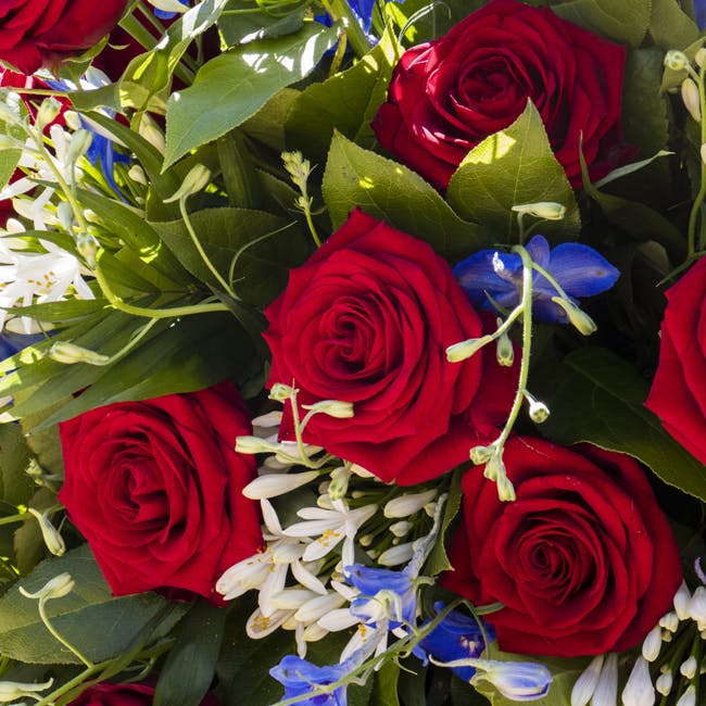 https://imgix.seoghoer.dk/media/article/blomsger.jpg