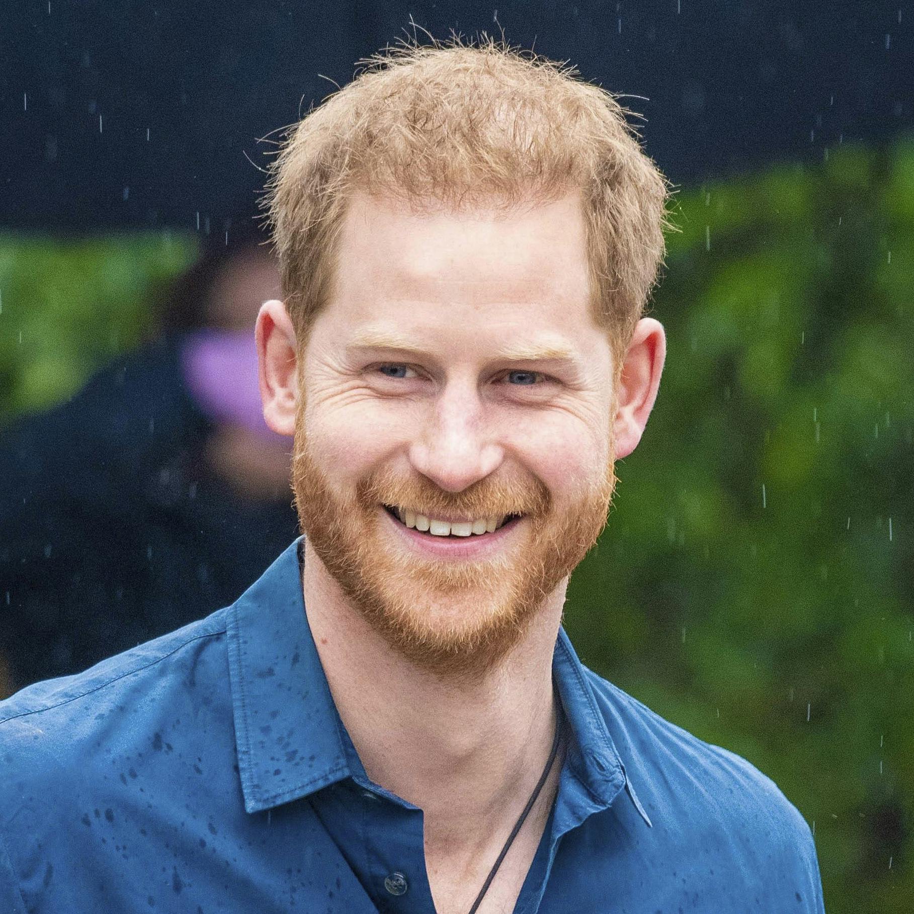 https://imgix.seoghoer.dk/media/article/britisk.jpg