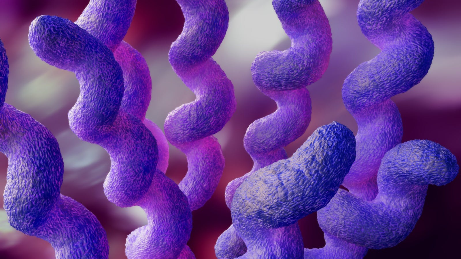 https://imgix.seoghoer.dk/media/article/campylobacter_01.jpg