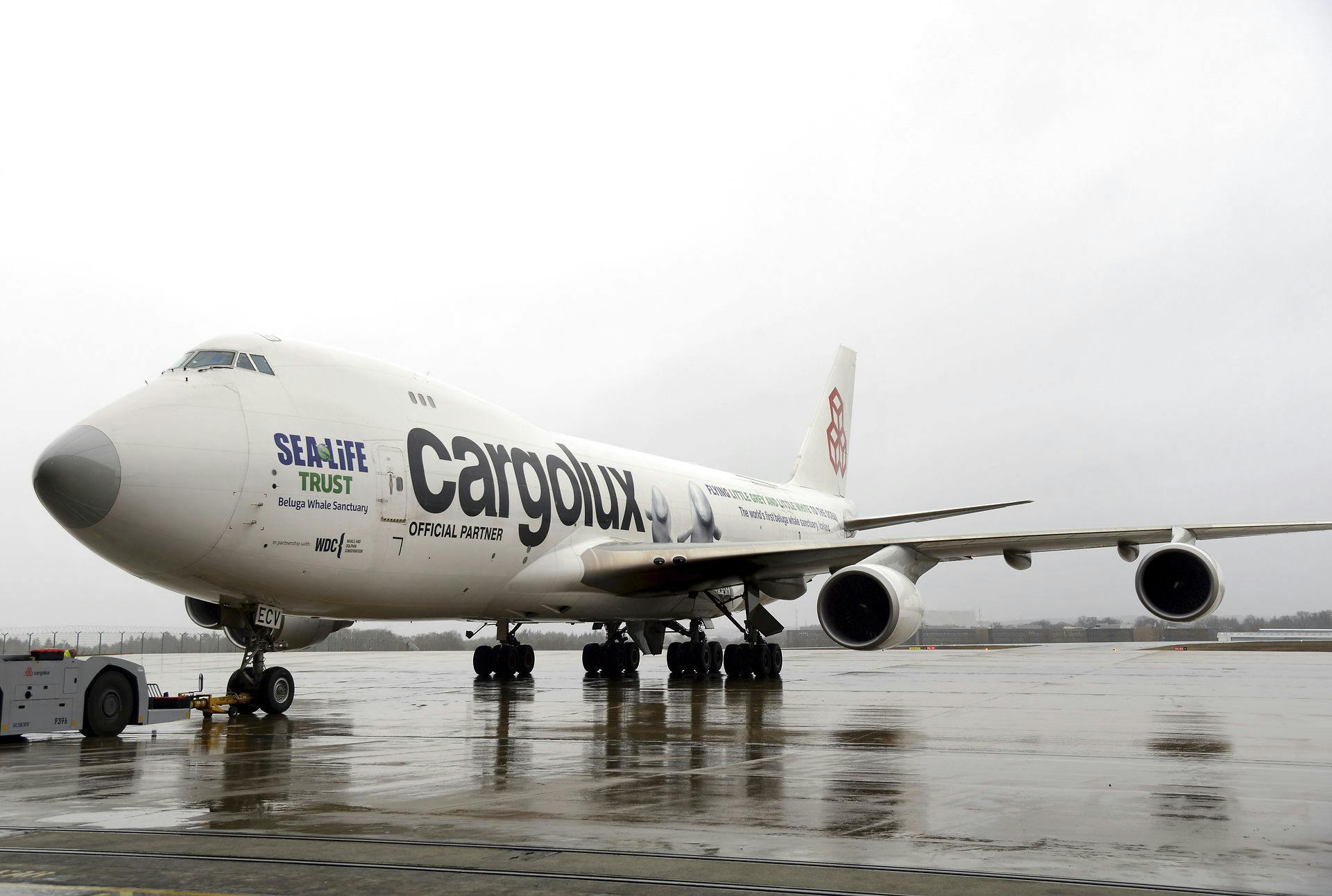 https://imgix.seoghoer.dk/media/article/cargolux.jpg