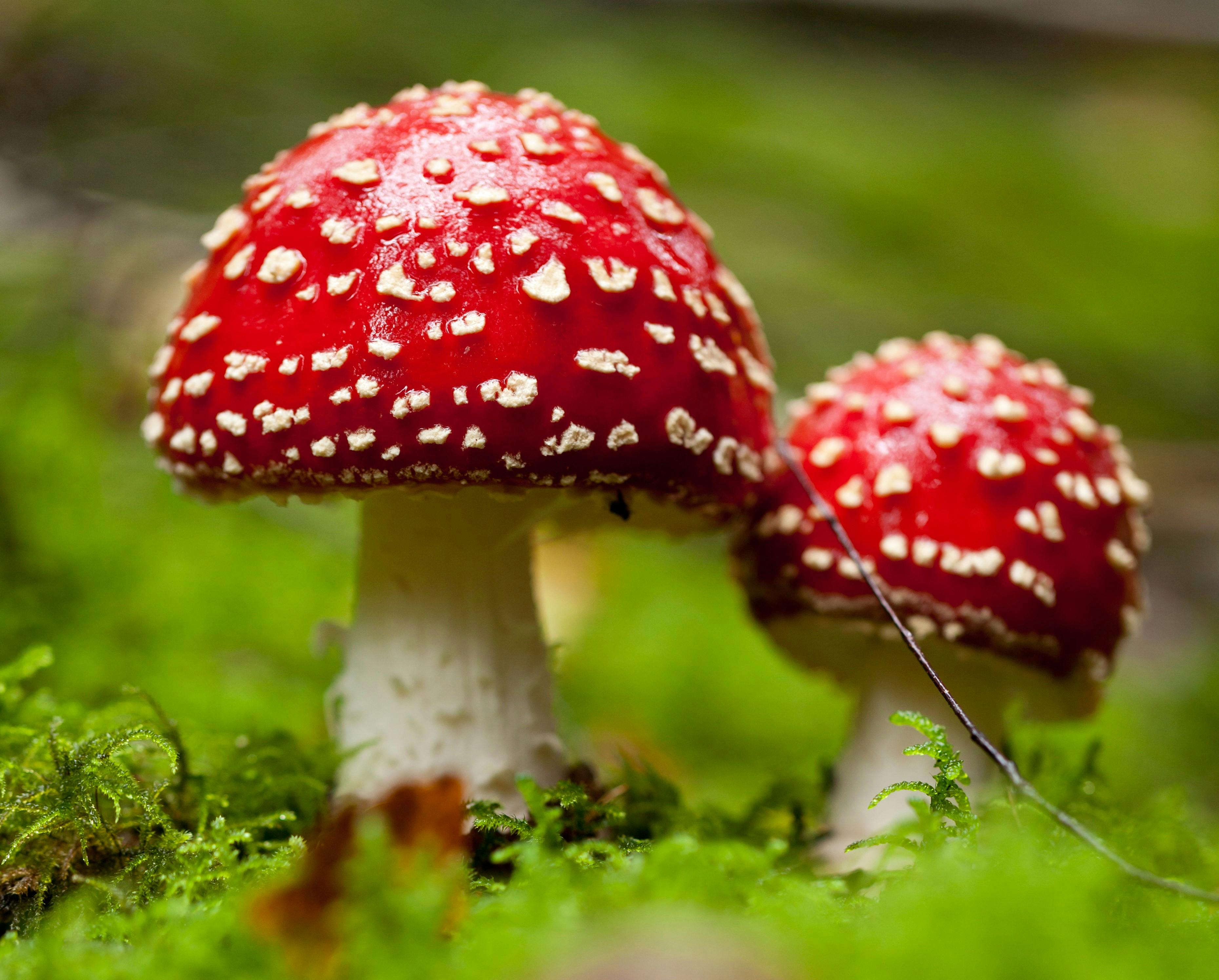 https://imgix.seoghoer.dk/media/article/colourbox8508384.jpg