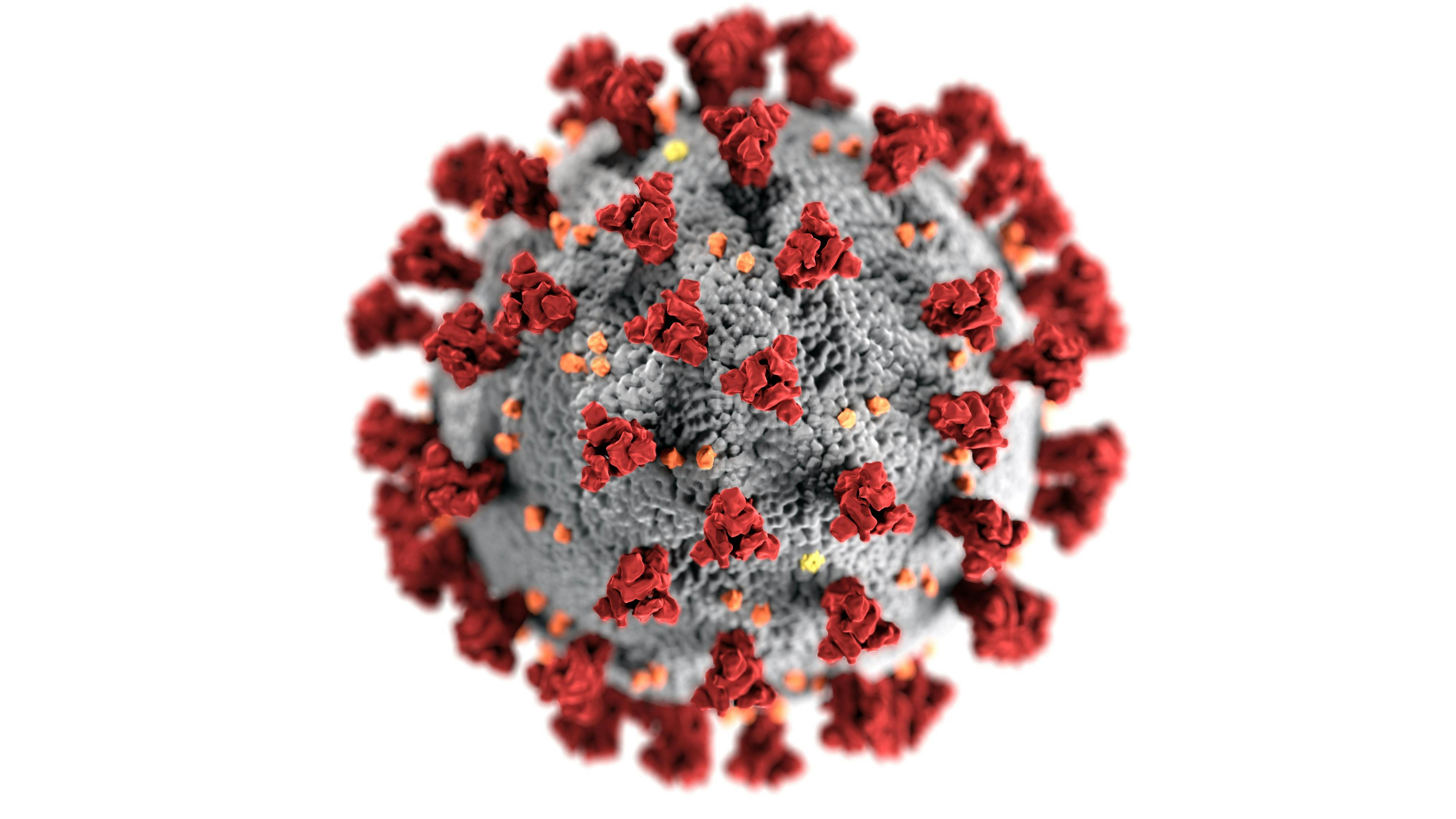 https://imgix.seoghoer.dk/media/article/coronavirus_-_illustration_-_hvid_baggrund.jpg