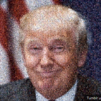 https://imgix.seoghoer.dk/media/article/donald_trump.png