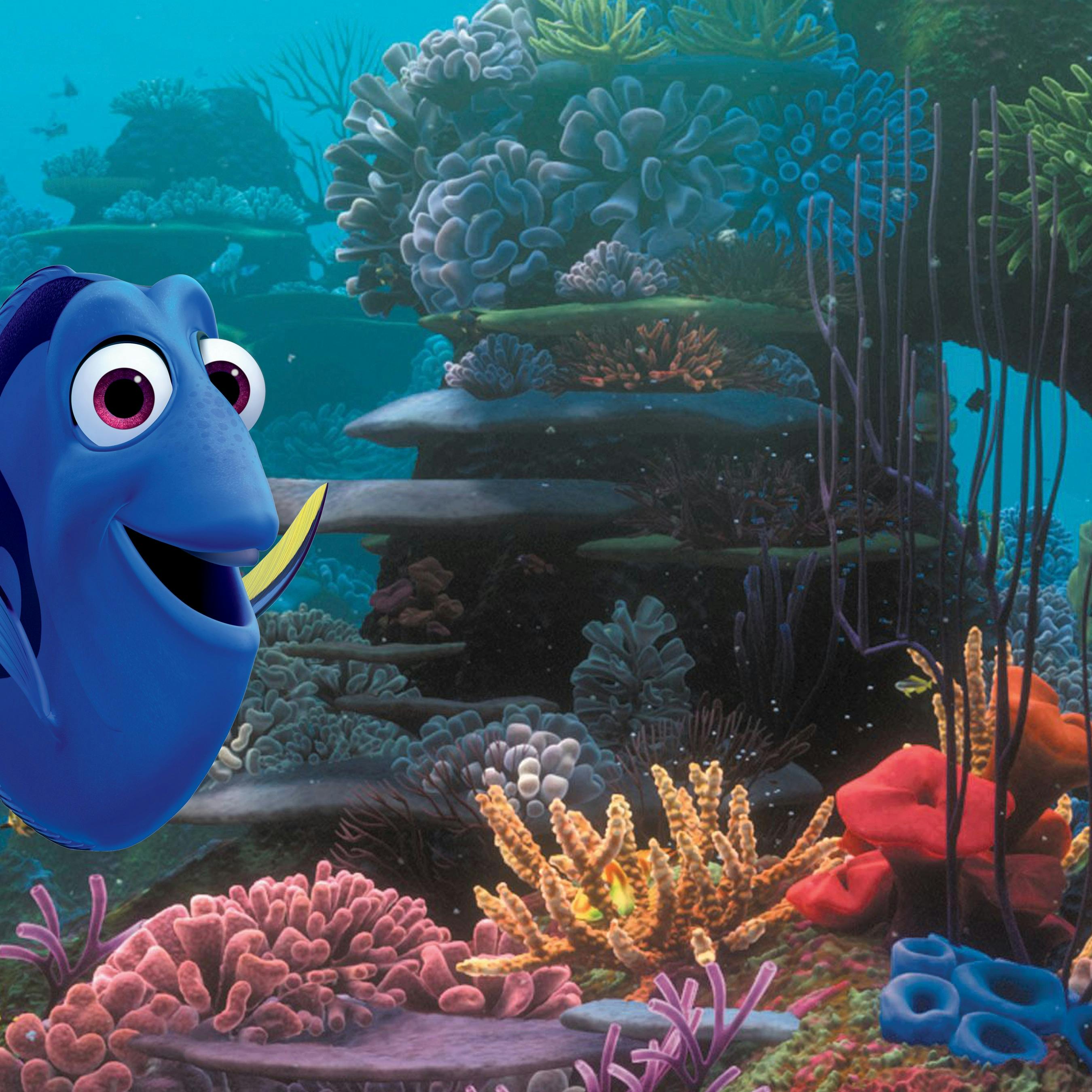 https://imgix.seoghoer.dk/media/article/dory.jpg