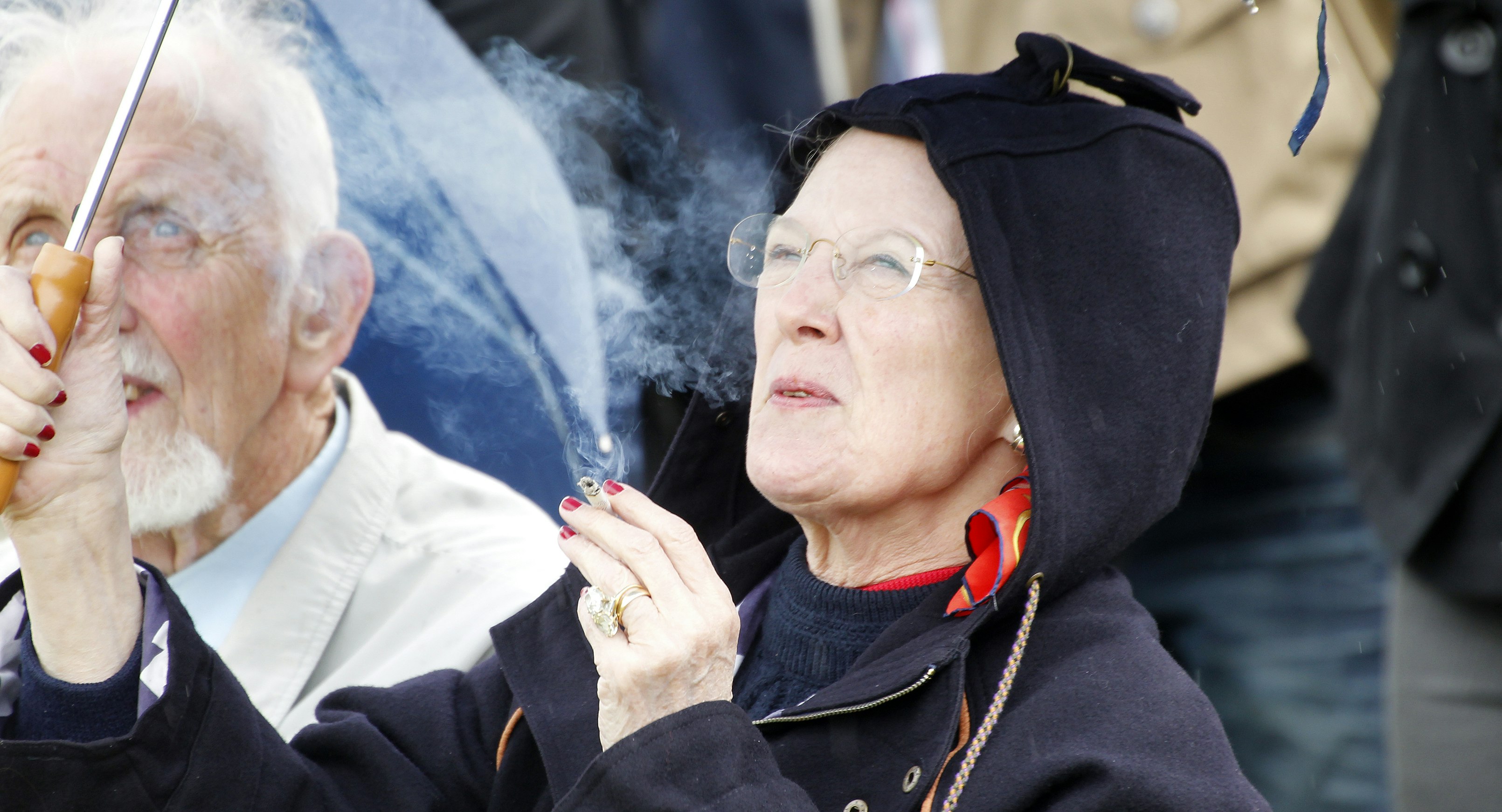 Røgenten Margrethe: Lungernes