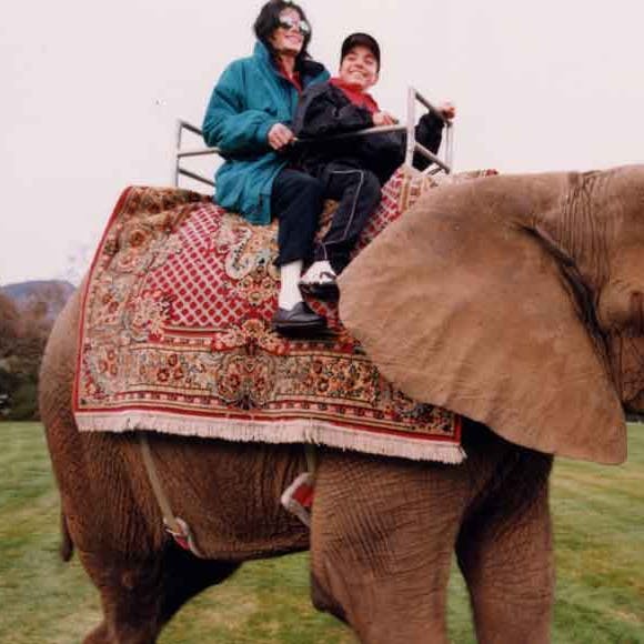 https://imgix.seoghoer.dk/media/article/elefant-20062018.jpg